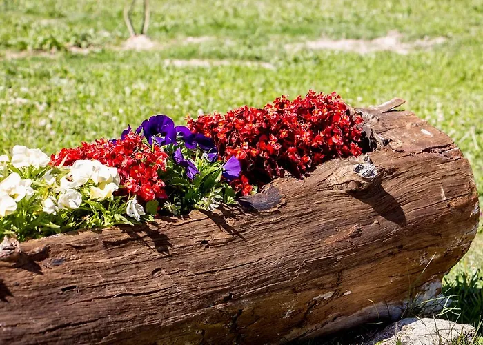 Gospodarstwo wiejskie Casa Da Mina