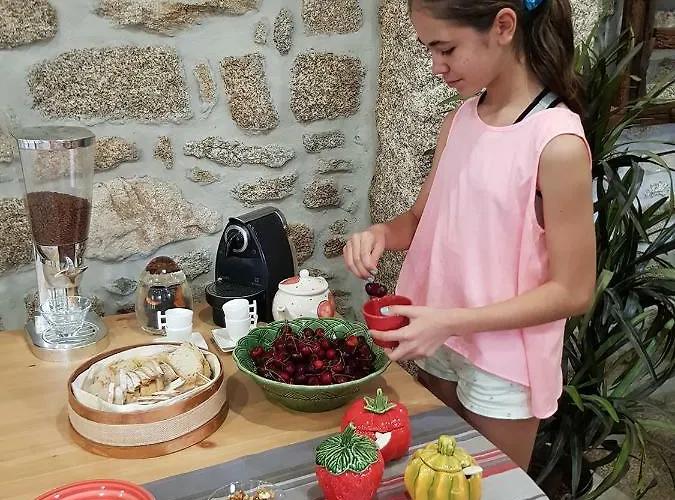 Gospodarstwo wiejskie Casa Da Mina